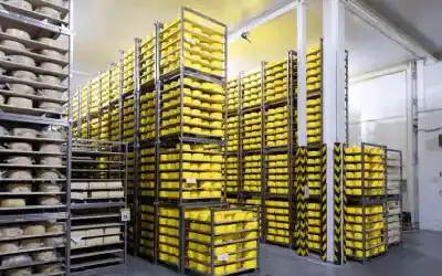 Cold Storage Infrastructure & Facilities